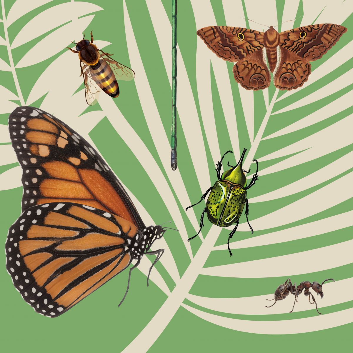 RODEN CONTES PER LES BIBLIOTEQUES DE SANTA COLOMA DE GRAMENET!